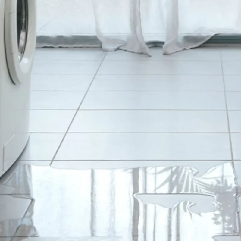 Appliance Leak Cleanup in Charleston, MS