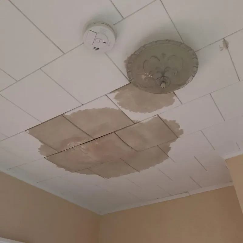 Ceiling Water Damage Repair in Charleston, MS