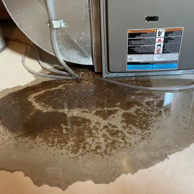 Pipe Burst and Leak Restoration in Charleston, MS