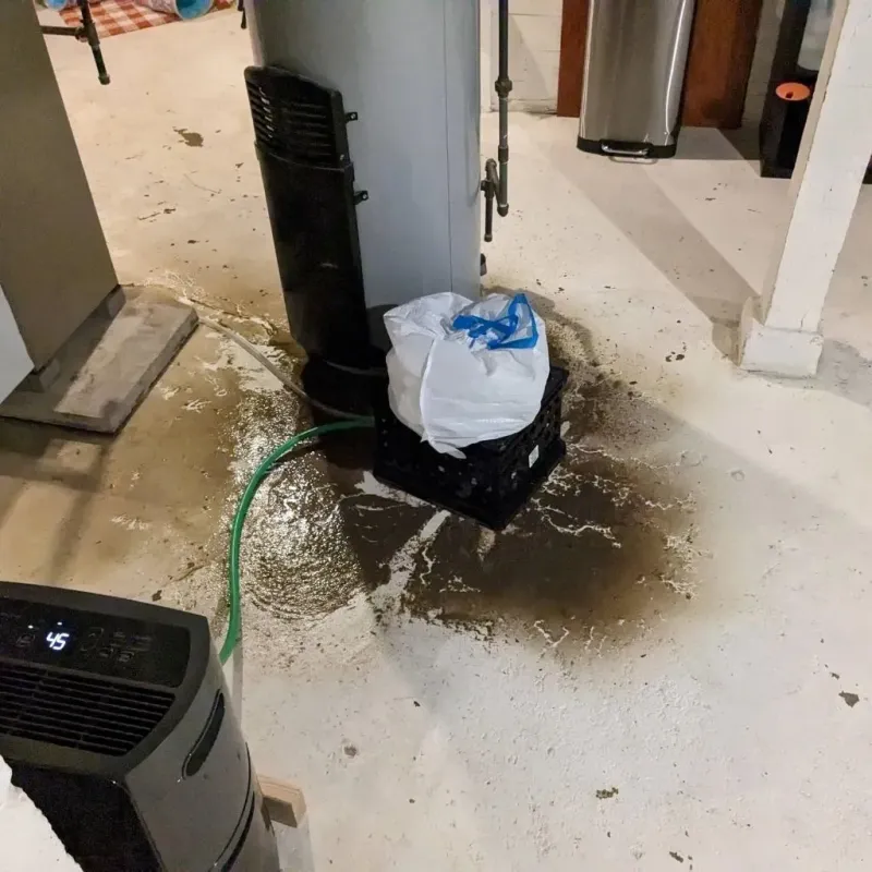 Sewage Backup Cleanup Service in Charleston, MS